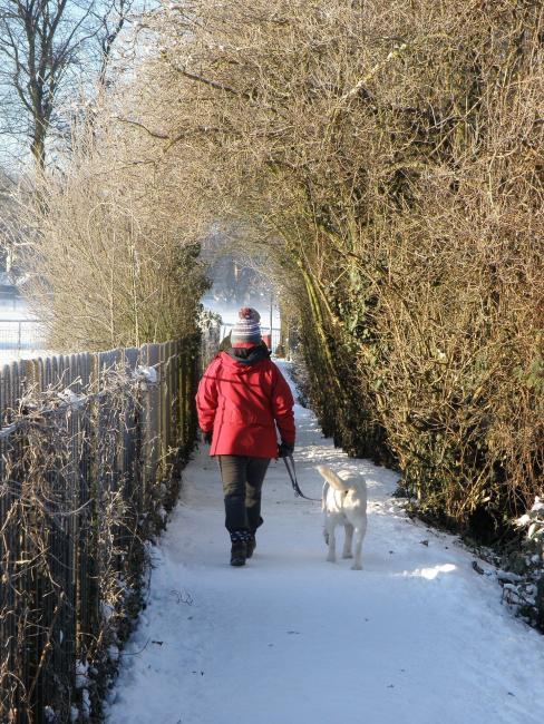 Wandern mit Hund im Winter